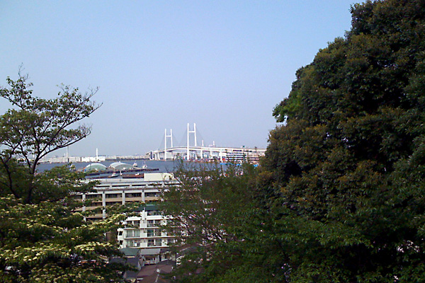 日々雑感 - DoromPATIO