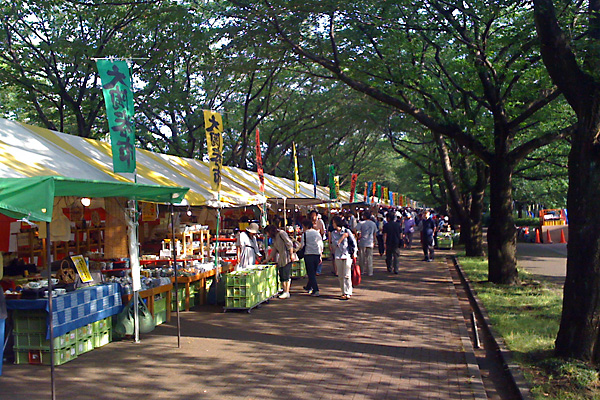 日々雑感 - DoromPATIO