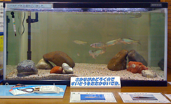 日々雑感 - DoromPATIO