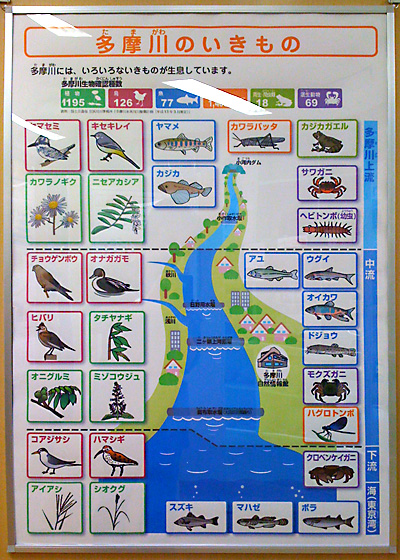 日々雑感 - DoromPATIO