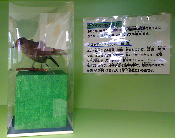 日々雑感 - DoromPATIO