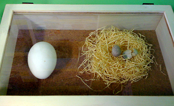 日々雑感 - DoromPATIO