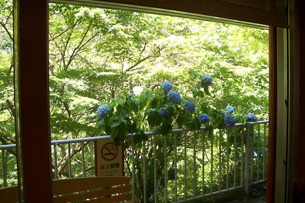 日々雑感 - DoromPATIO