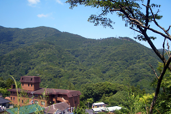 日々雑感 - DoromPATIO