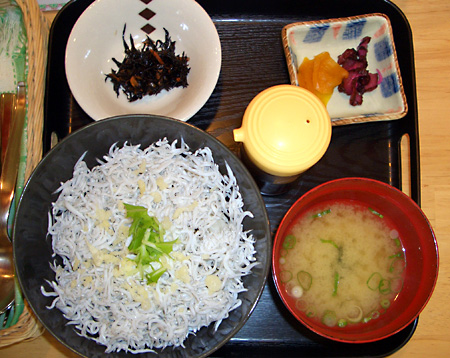 日々雑感 - DoromPATIO