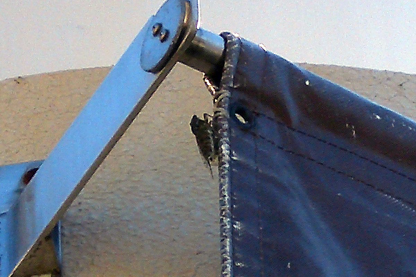 日々雑感 - DoromPATIO