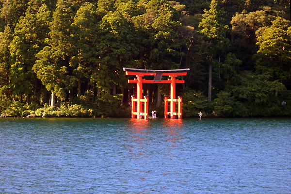 日々雑感 - DoromPATIO