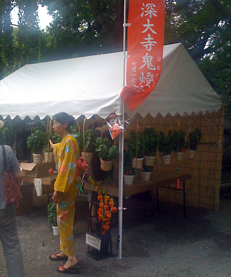 日々雑感 - DoromPATIO