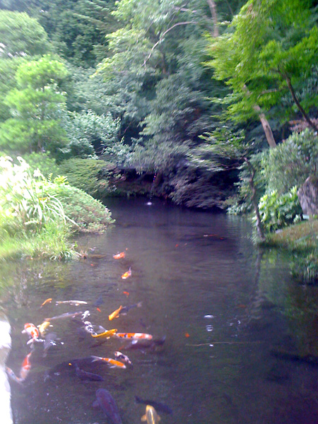 日々雑感 - DoromPATIO