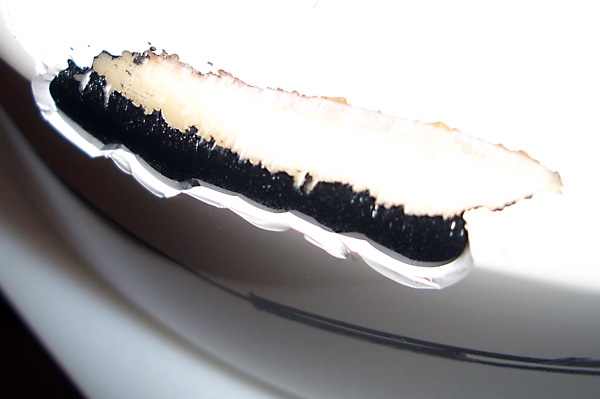 日々雑感 - DoromPATIO