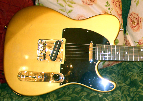 Peavey HP Signature Series EXP Tiger Eye