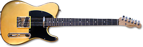 Peavey HP Signature Series EXP Tiger Eye