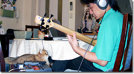 Tips of Guitars - DoromPATIO