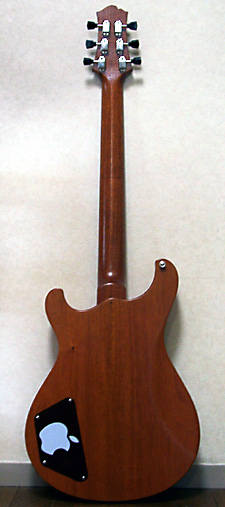 chinchilla GM8R(GLD)