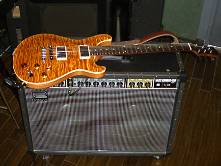 ペダルボード - エフェクター - dpGuitarSystem