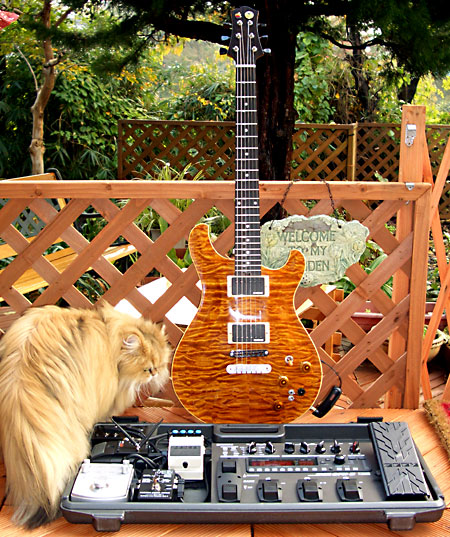 ペダルボード - エフェクター - dpGuitarSystem