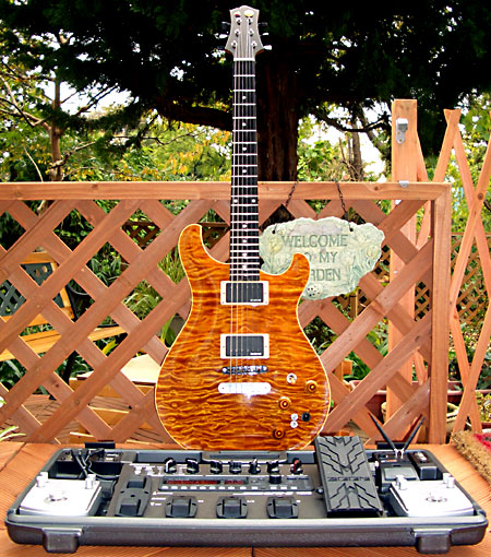 ペダルボード - エフェクター - dpGuitarSystem