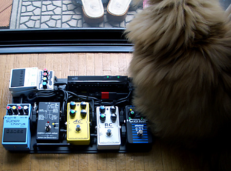 ペダルボード - エフェクター - dpGuitarSystem