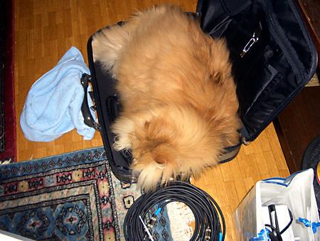 ペダルボード - エフェクター - dpGuitarSystem