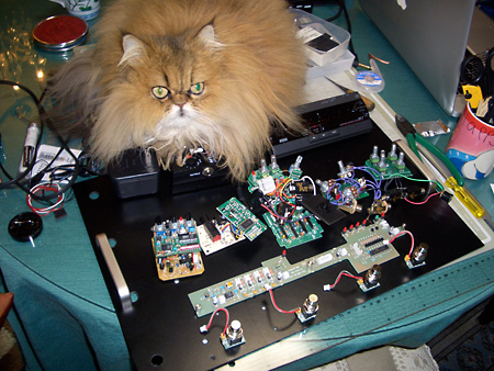 ペダルボード - エフェクター - dpGuitarSystem