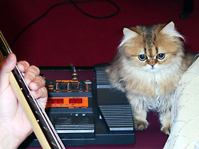 ZOOM - エフェクター - DoromPATIO