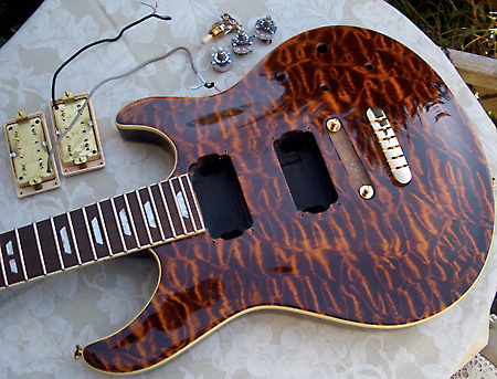 Peavey HP Signature Series EXP Tiger Eye