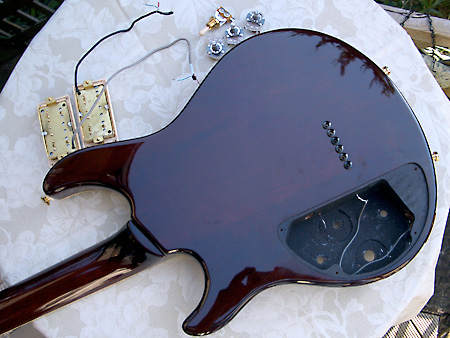 Peavey HP Signature Series EXP Tiger Eye