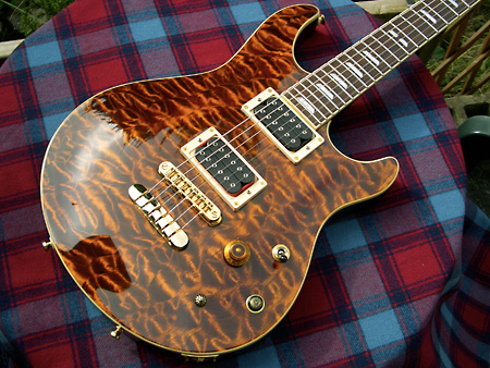 Peavey HP Signature Series EXP Tiger Eye