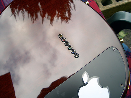 Peavey HP Signature Series EXP Tiger Eye