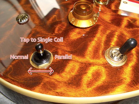 Peavey HP Signature Series EXP Tiger Eye