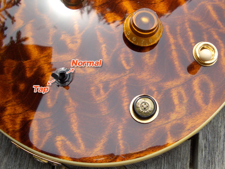 Peavey HP Signature Series EXP Tiger Eye