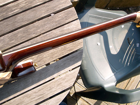 Peavey HP Signature Series EXP Tiger Eye