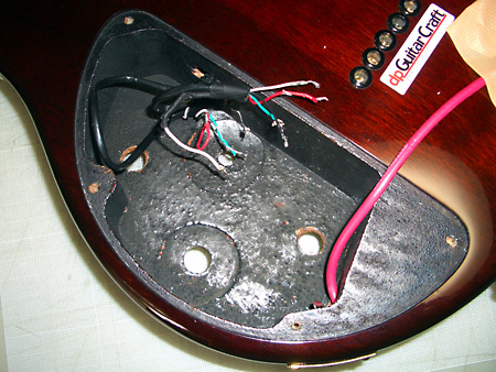 Peavey HP Signature Series EXP Tiger Eye