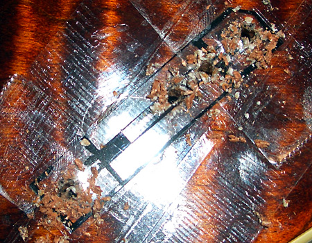 Peavey HP Signature Series EXP Tiger Eye