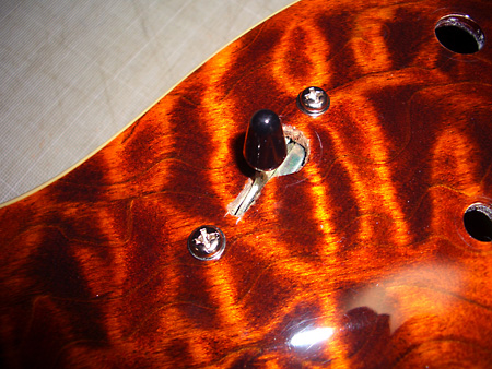 Peavey HP Signature Series EXP Tiger Eye