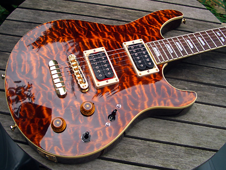 Peavey HP Signature Series EXP Tiger Eye