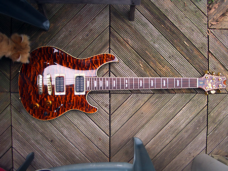 Peavey HP Signature Series EXP Tiger Eye