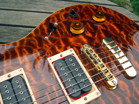 Peavey HP Signature Series EXP Tiger Eye