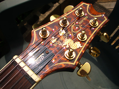 Peavey HP Signature Series EXP Tiger Eye