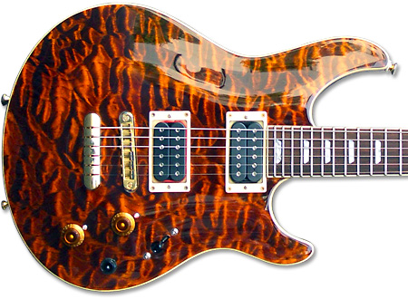 Peavey HP Signature Series EXP Tiger Eye