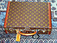 猫, チンチラ・ゴールデン, 来夢