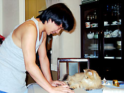 猫, チンチラ・ゴールデン, 来夢