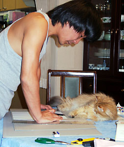 猫, チンチラ・ゴールデン, 来夢