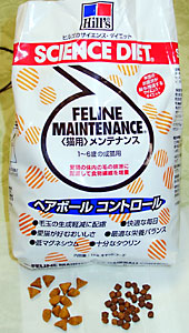 猫, チンチラ・ゴールデン, 来夢, 来喜