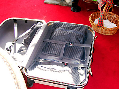 猫, チンチラ・ゴールデン, 来夢, 来喜