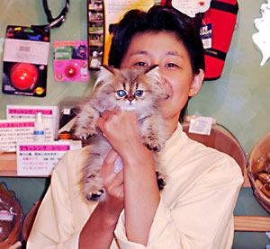 猫, チンチラ・ゴールデン, 来夢, 来喜