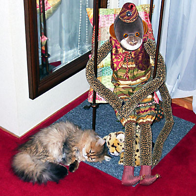 猫, チンチラ・ゴールデン, 来夢, 来喜