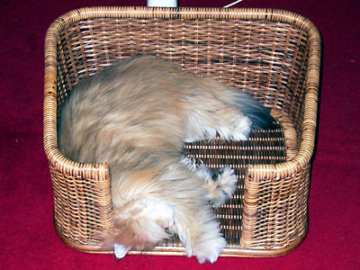 �L, �`���`���E�S�[���f��, ����, ����