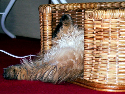 �L, �`���`���E�S�[���f��, ����, ����