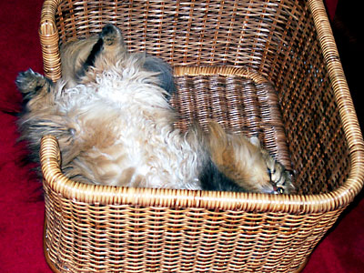 �L, �`���`���E�S�[���f��, ����, ����